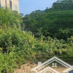 Bán đất 40m2 tại xã đại áng, thanh trì, hà nội chỉ với 3,4 tỷ vnd. ngõ ô tô 7 chỗ vào ngõ thông