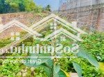 Mặt đường kinh doanh - xây nghỉ dưỡng phúc xuân - hồ cầu bãi. 6 triệu / m2