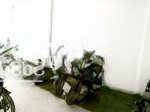 Bán căn hộ 3 tầng kiệt phan tứ, dt đất 216m, ngang 14,6m, nhà rất mới full dòng tiền, giá 12 tỷ8 tl