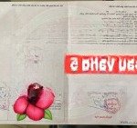 Bán lô đất đường 7m5 bàu vàng 5