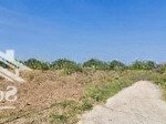 Chủ ngộp bán rẻ lô đất 1,2 hecta có 300m2 thổ cư, 124m mặt tiền hẽm ô tô đường tl765, cẩm mỹ, đn