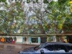Bán đất quan hoa - cầu giấy - ngõ thông - đầu tư xây ccmn dòng tiền - 140m2, giá 26.5 tỷ
