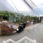 Sở hữu ngay lô đất vàng sát chợ dĩ an 1 - giá cực tốt chỉ 2.9 tỷ!