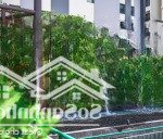Giỏ hàng 300 ký trực tiếp chủ đầu tư vsip. the habitat 3 có gói cam kết cho thuê 0911693736