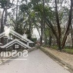 Bán mảnh đất hiếm phân lô ngay kđt sài đồng 120m2 250m2 xây văn phòng quá đẹp