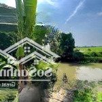 Bán gấp nhà riêng 46m2 tại lâm văn bền, quận 7,ngang 4,2x12m, giá nhỉnh 4 tỷ