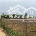 đất cao phong, hoà bình 2080m2, full thổ cư siêu đẹp giá rẻ