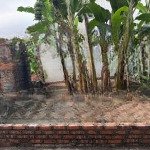 đất bán tại xã cổ loa, đông anh, hà nội, giá siêu hời chỉ với 75 triệu/m2, 55m2