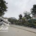 Chính chủ bán đất phố trạm, long biên, 55m2, ô tô tránh, kinh doanh sầm uất, hiếm nhà bán, giá tốt