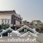 Bán đất siêu hot tại đường 1a, ngũ hiệp, thanh trì, hà nội, 10,6 tỷ, 62m2