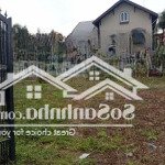 Bán đất thổ cư vị trí vàng thảo điền - quận 2 - 519m2 - 67 tỷ - sổ đỏ chính chủ