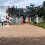Bán đất tại xã đinh lạc, di linh, lâm đồng, 399 triệu, 163m2 - hot!