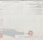 Bán đất trồng cây mặt tiền ngô quang thắm, long thới, nhà bè, dt: 907m2, giá : 13,6 tỷ