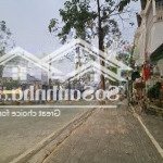 đất kinh doanh, ngỗ thông, ô tô vào đất