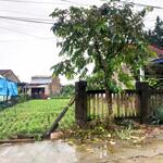 ⭐ bán đất đẹp – đường bê tông 7m – thanh quýt 2, điện bàn ⭐dt 282m2 ngang 11.2m