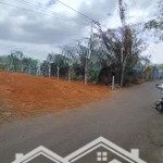 Bán gấp lô đất 2 mặt tiền hoà long 535m2 có 80m2 thổ cư giá 2.9 tỷ ngay bùng binh tuyến tránh ql56