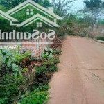 Bán 101.8m2 đất tại tdp ao mây - hợp châu - tam đảo - vĩnh phúc