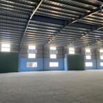 Cho thuê nhà xưởng mới xây dựng diện tích 3.600m² - 7.350m² ở phước hòa, phú giáo, bình dương.
