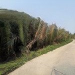 đất cẩm thanh 3 mặt tiền view hồ , view dừa , view sông giá rẻ