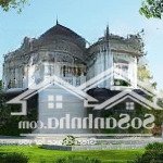 Bán đất tặng biệt thự sổ hồng giá cực rẻ ngay ủy ban tp. thủ đức đường bát nàn, 15mx18m, h, t, 2l