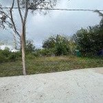 Bán 146m2 hẻm đường cây thông trong, mặt tiền rộng 7m cực đẹp, sổ đỏ sẵn 36m2 đất ở, chỉ 1,5 tỷ