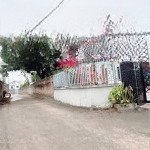 Xuất ngoại giao f0 tân minh, sóc sơn. giá chỉuo 18tr/m2 ra lộc mạnh tay