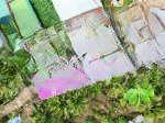 Bán đất thổ cư xã diên toàn, cạnh đường võ nguyên giáp, chỉ 990tr
