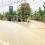 đất chính chủ e tại khu 6 vạn xuân, tam nông, phú thọ, gần khu công nghiệp, đường hcm, ô tô vào đất