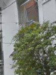 Bán nhà phố thái hà dt 48m *5 tầng mt 4,9m giá 18,5 tỷ mặt ngõ ô tô tránh kinh doanh