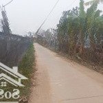 Bán đât ruộng sẵn phương án vac tại phú thị gia lâm.đường bê tông 4m mặt bằng đẹp
