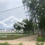 Bán đất gần phà giá tốt cho anh chị đầu tư