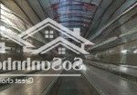 Cho thuê kho xưởng 770 m2 giá 33 triệu đồng / đường vườn thơm xã bình lợi huyện bình chánh tphcm