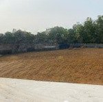 Hàng hiếm sai nhỏ tại ba trại, ba vì, hn. cách tỉnh lộ 86 chỉ 200m, gần các tiện ích công cộng