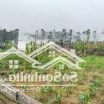 Cần bán 100m2 sát cổng đhqg thôn miễu tiến xuân lh 0868 983 386.