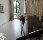 Bán nhà phố view sông kdc đại phúc greenvillas,6b,phạm hùng,bình chánh giá 11tỷ