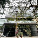 Siêu hiếm! bán tòa hoa hậu phố từ hoa - 222m2 - 6 tầng - 9m mặt tiền quyền lực view hồ tây - 198 tỷ