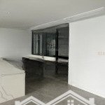 Cho thuê nhanh căn hộ the opera thủ thiêm, 180m2 4pn nội thất cơ bản, view trực diện sông