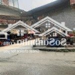 Hàng hiếm tại phúc thành, biên giang, hà đông, 3.75 tỷ, 50m2, giáp ql6, sau ubnd phường, 0855000567