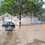 Bán 108m2 đất thổ cư sài sơn, quốc oai, hà nội, giá đầu tư