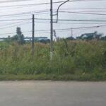 1ha đất skc mặt tiền 823, xã hòa khánh tây, đức hòa giá 45 tỷ