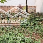 đất chính chủ, full thổ cư, xây biệt thự, hoặc làm xưởng sản xuất
