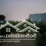 Bán đất xã long sơn, cần đước, long an, giá cực chất 890 triệu, 114m2