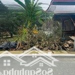 Chính chủ cần bán 155m2 tại cổng a khu công nghiệp nhuận trạch - lương sơn - hoà bình