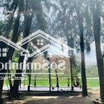 Chính chủ gửi bán 6 mẫu mặt tiền sông ông kèo, đường hiện hữu 6m, giá thoả thuận