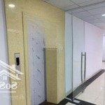 Bán tòa nhà vp mặt phố vương thừa vũ, thanh xuân, vị trí đắc địa, giá rẻ như ngõ 181m2 giá 60 tỷ