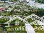 Cần bán rẻ 142mv full thổ cư, hxh đường đê bao ấp 1, gần trường thcs tân quý tây, giá 3ty1