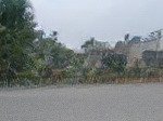 Bán đất 1000m2 có 115m2 thổ cư mặt tiền đường 165 - bình mỹ - củ chi