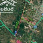 đất nền an viễn 1 sẹc trục chính phùng hưng sổ riêng thổ cư 1 tỷ 1/nền bao sổ , gần ủy ban xã 115m2