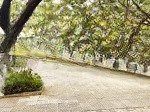 Bán đất: mặt tiền đường 15m hồ nghinh, kẹp kiệt bên. dt 170m. ngang: 10m. giá chỉ có 22 tỷ.