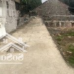 Siêu phẩm đất thường tín oto vào tận đất giá nhỉnh 1tỷ